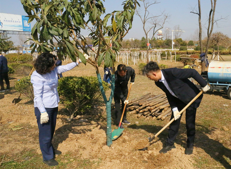 植樹節(jié)官網(wǎng)內(nèi)頁(yè)2.jpg